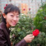 【極上の0】秘密の花園発見!?ホテルニューオータニのバラ園「Red Rose Garden」で真っ赤な薔薇を愛でる