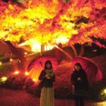 【極上の0円】&【大人のアフター5】コラボ企画！八芳園の紅葉ライトアップイベント「TOKYO RED GARDEN」で映え写真撮影してきました♪